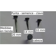 Semence - clavos de fuelle de 20 mm